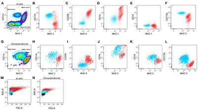 Bovine Derived in vitro Cultures Generate Heterogeneous Populations of Antigen Presenting Cells